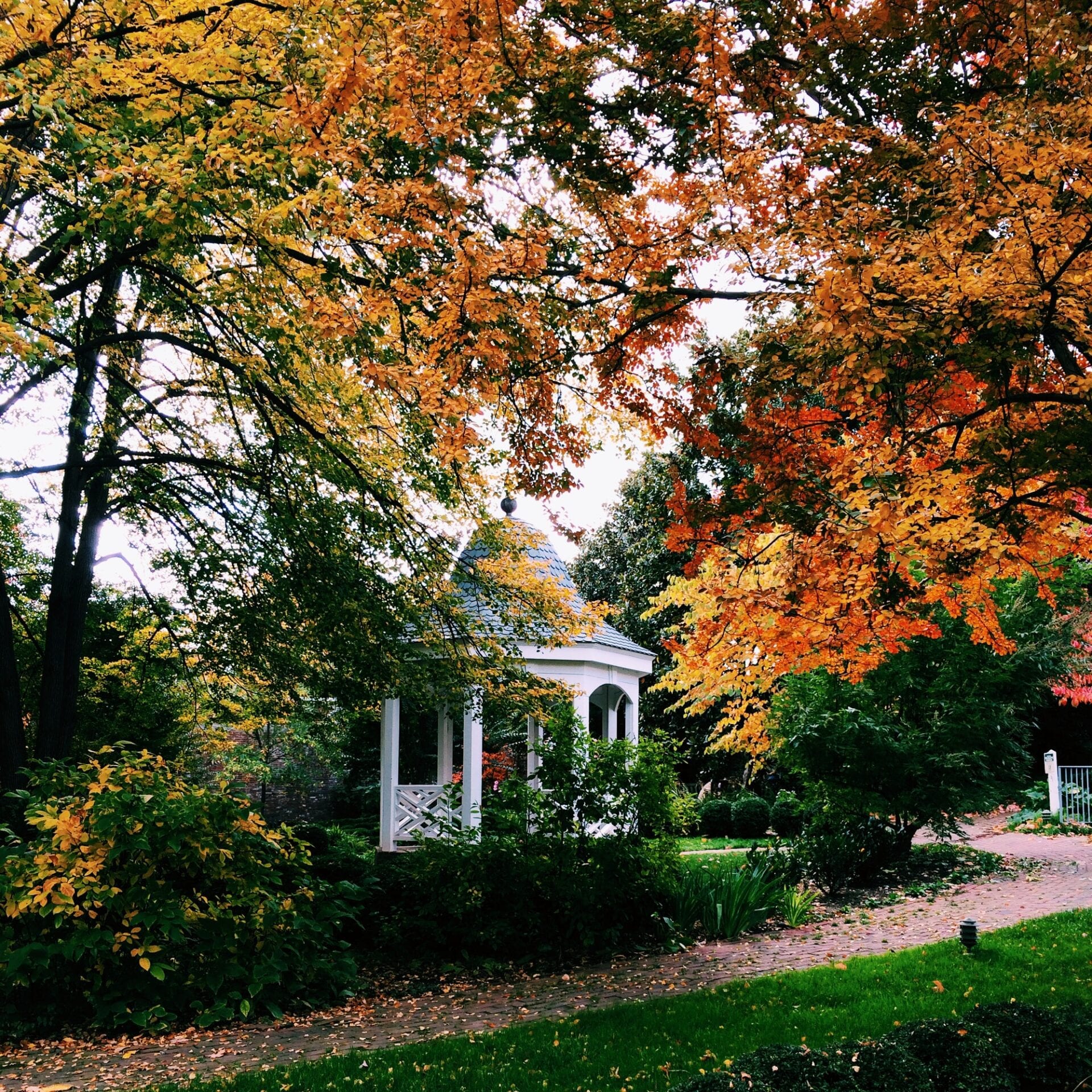 Virginia